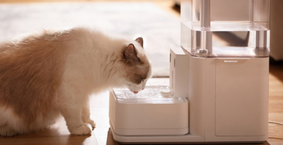 5 Best Pet Water Fountains for Cats and Dogs 2023 eufy US