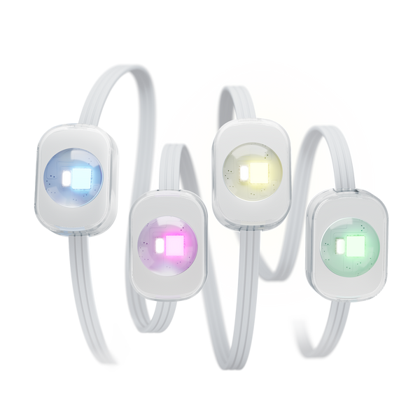 eufy Permanent Outdoor Light E120 (100ft with 60 Lights) eufy US