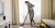 6 Best Laminate Floor Cleaning Machines: Keep Your Laminate Floors Shining