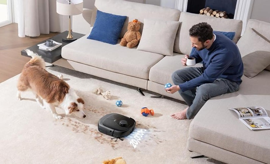 How to Get Rid of Fleas in Carpet Fast