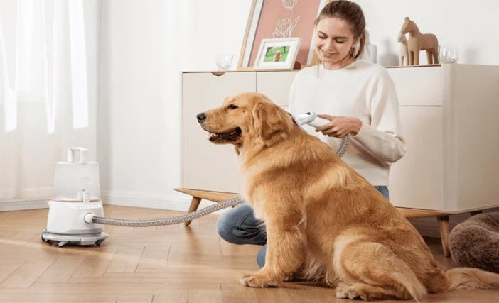 What’s the Best Wet Dry Vacuum Cleaner for Pets?