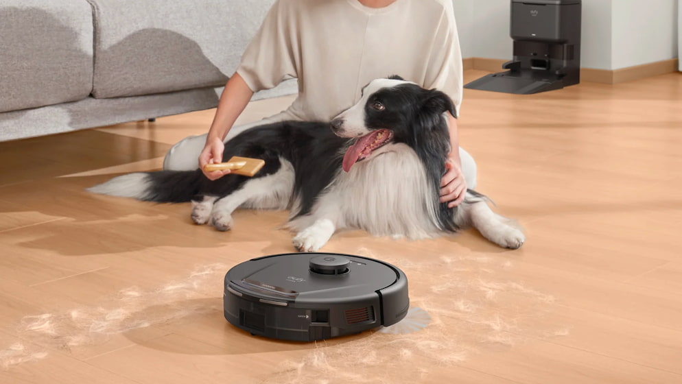 Best Vacuums for Hair 2026: Top 6 Hair Vacuums
