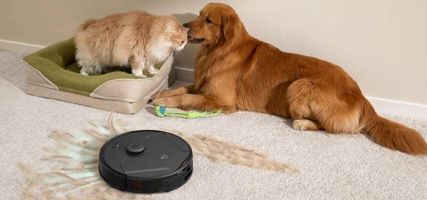 Discover the Best Vacuum Cleaner for Allergies in 2025