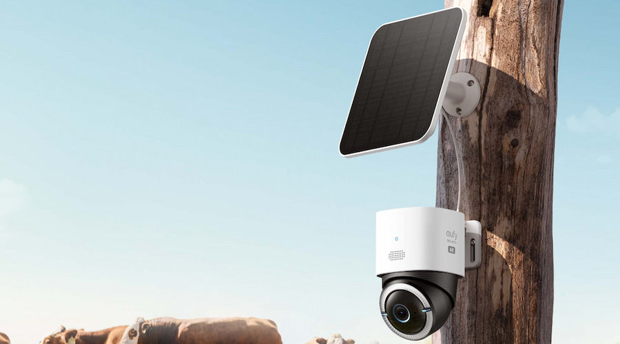 Best Wireless Trail Camera: 2025’s Picks for Wildlife & Security
