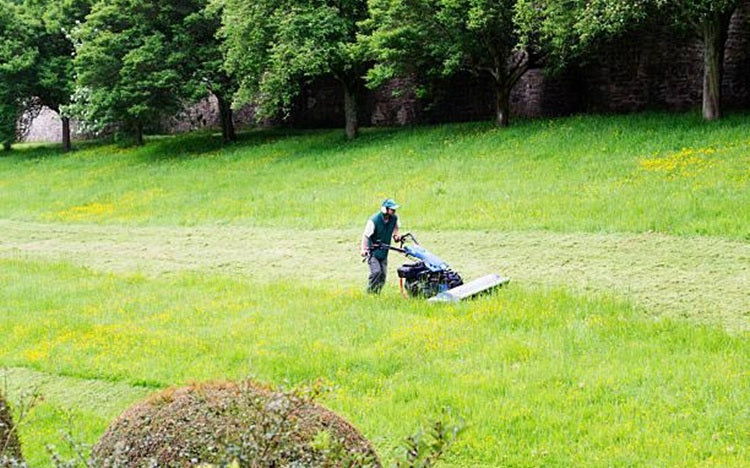 Spring Yard Clean Up | Essential Tips for a Beautiful Lawn and Garden