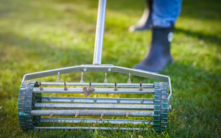 how-to-aerate-lawn