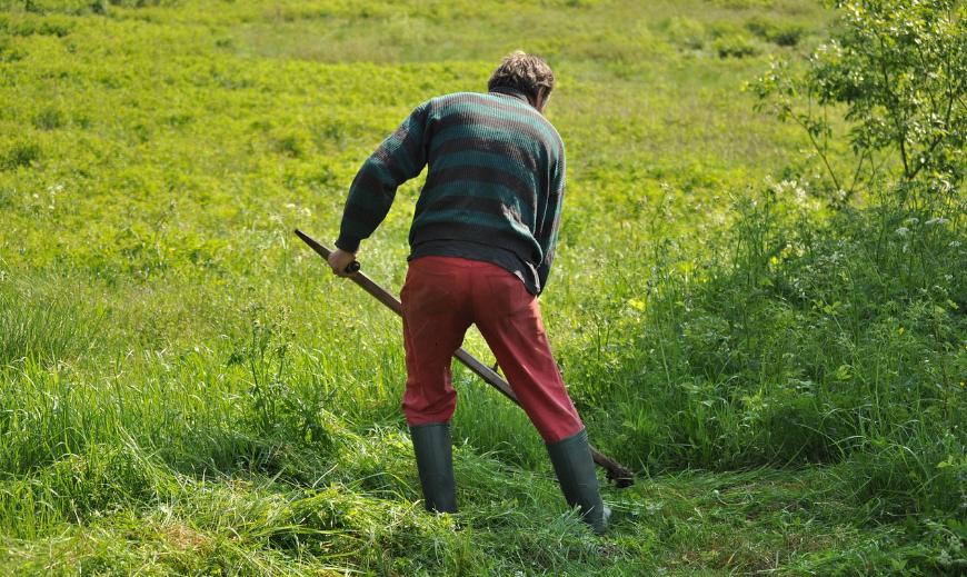 How Much Does It Cost to Cut Grass in 2026? Find Out Now