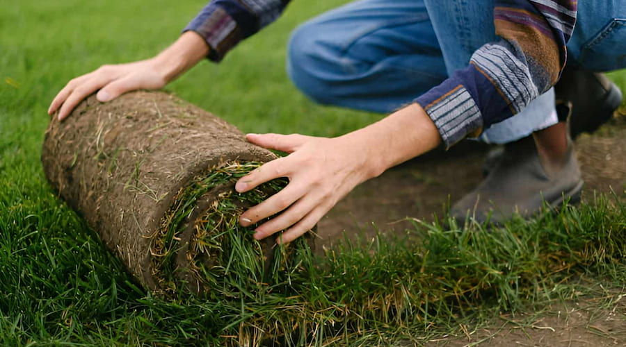 how-to-remove-grass-from-lawn