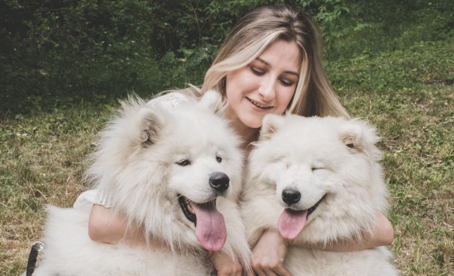 Best Vacuum Cleaner for Pet Hair: Top 5 Picks & Buying Guide