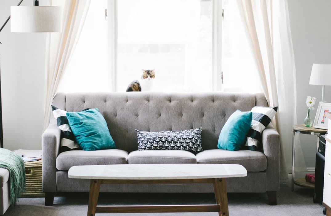 How to Use a Vacuum Cleaner for Sofa?