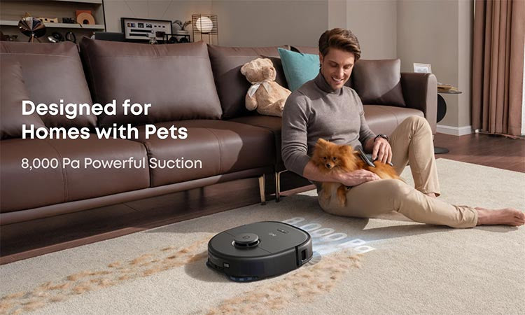 How to Keep House Clean with Dogs: Practical Guide