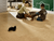 Best Portable Carpet Cleaner Picks for 2025