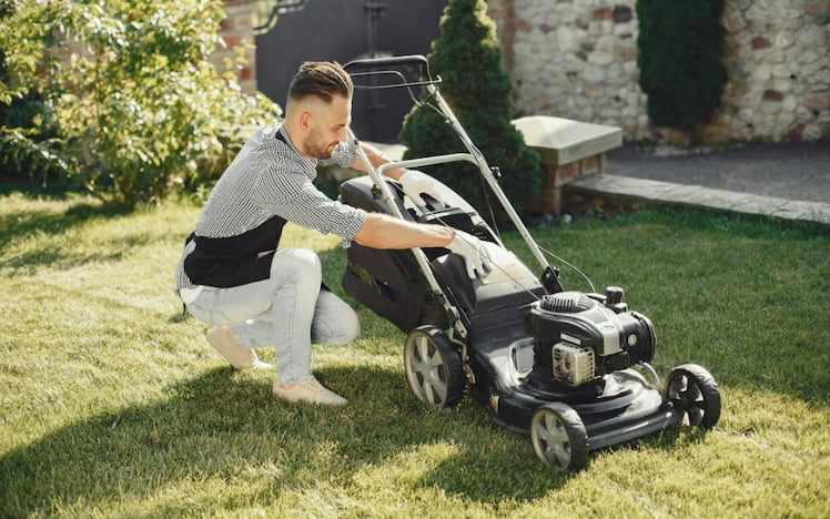 Best Lawn Mower for Small Yard: Top 7 Models to Buy in 2025