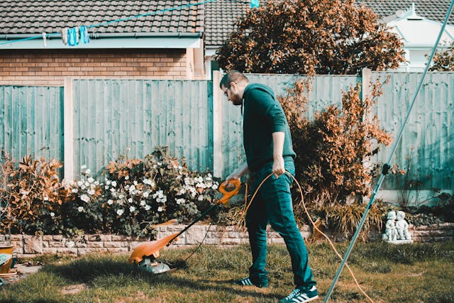 lawn-mowing-mower-cost