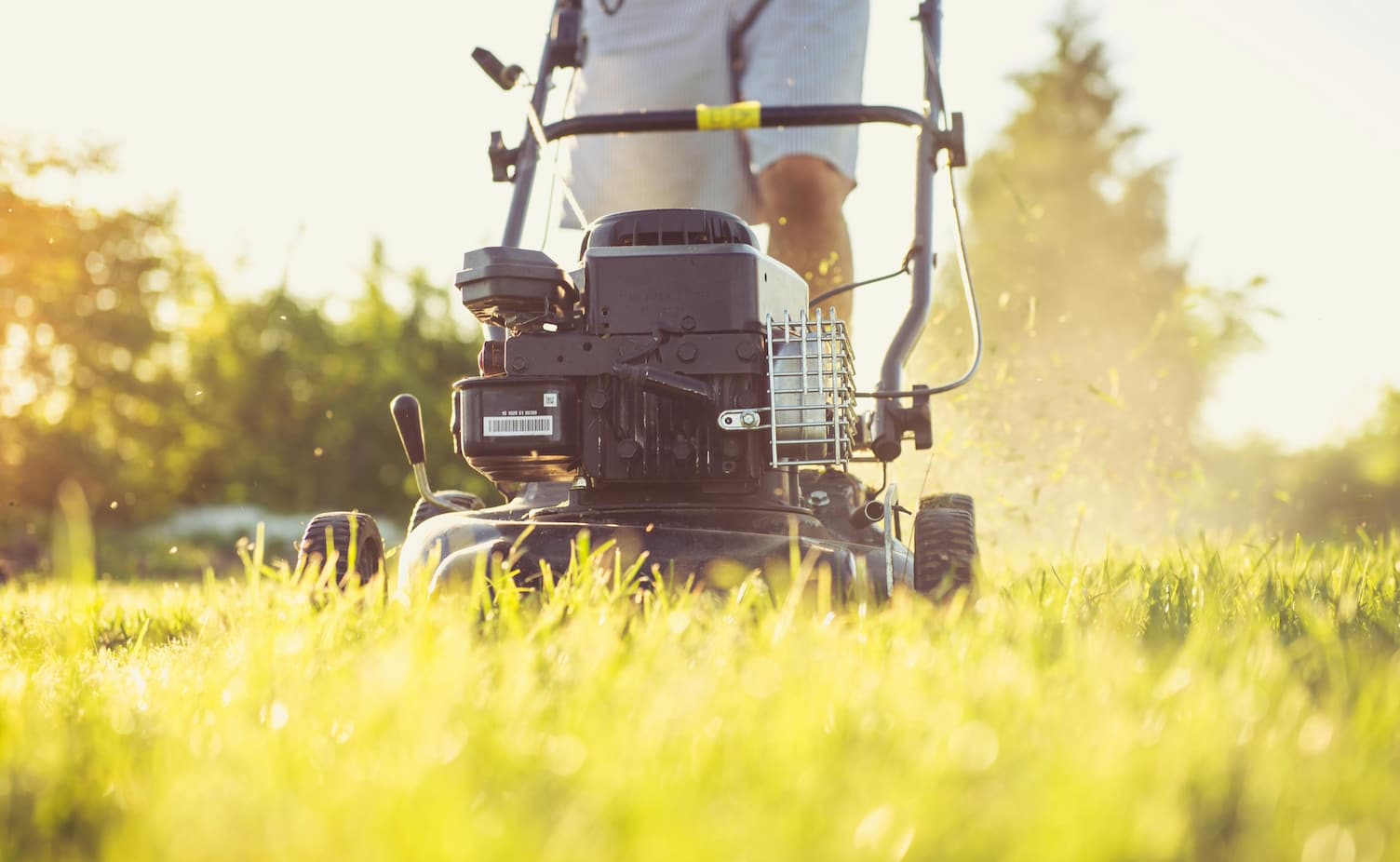 How to Start a Lawn Mowing Business in 2025: Steps to Launch Your Career