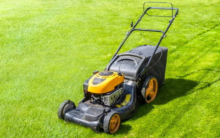 Mower on lawn