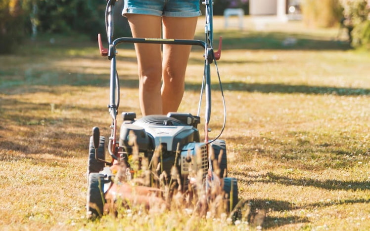 How Tall to Mow Lawn at in Summer: Best Practices for Healthy Grass