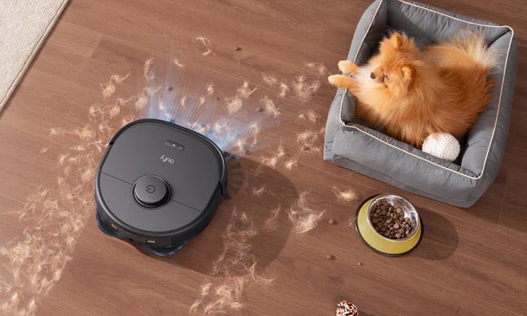 The Complete Guide to Pet Safe Cleaning Products