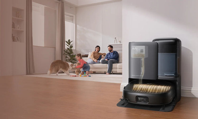 How to Clean Cat Urine from Hardwood Floors: Step-by-Step