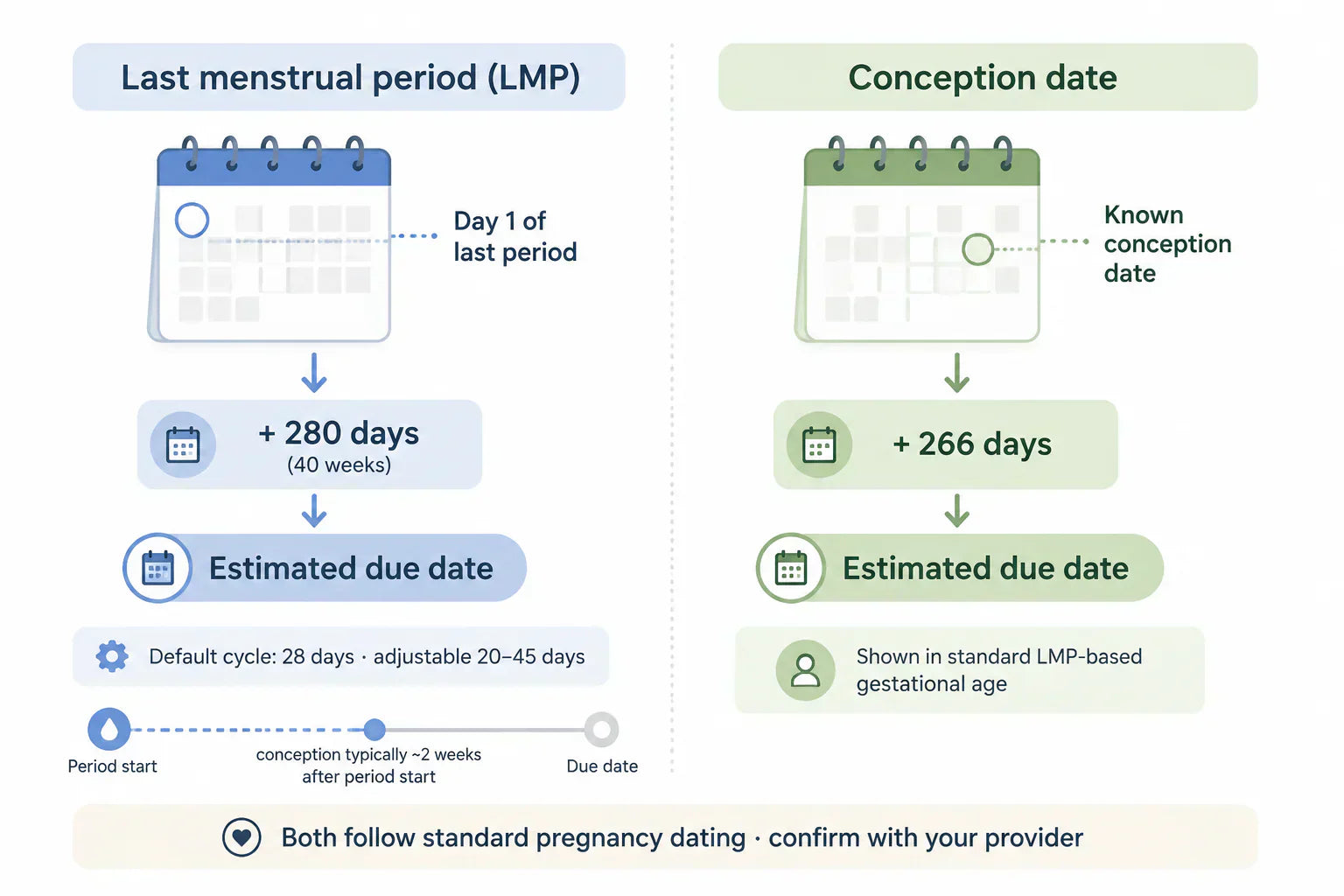 Pregnancy Due Date Calculator: Estimate Your Due Date
