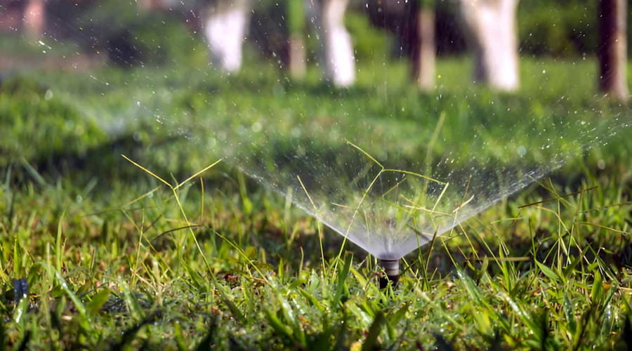 Sprinklers watering the grass