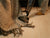 Best Vacuum for Tile Floors in 2025: Top Picks for a Cleaner, Easier Home