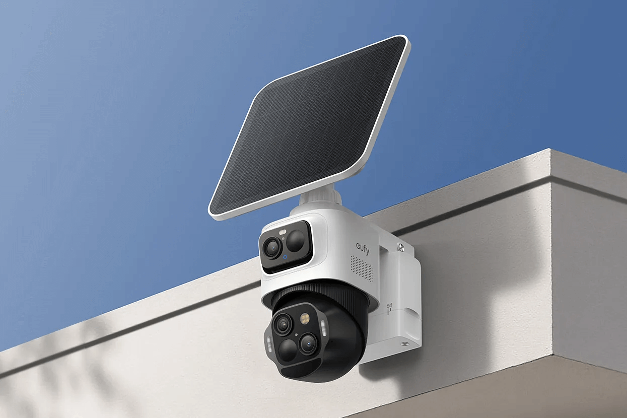 Which U.S. States Have the Most Murders (2025)