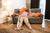 Does Vacuuming Kill Fleas: Choose the Best Vacuum Cleaner for Fleas