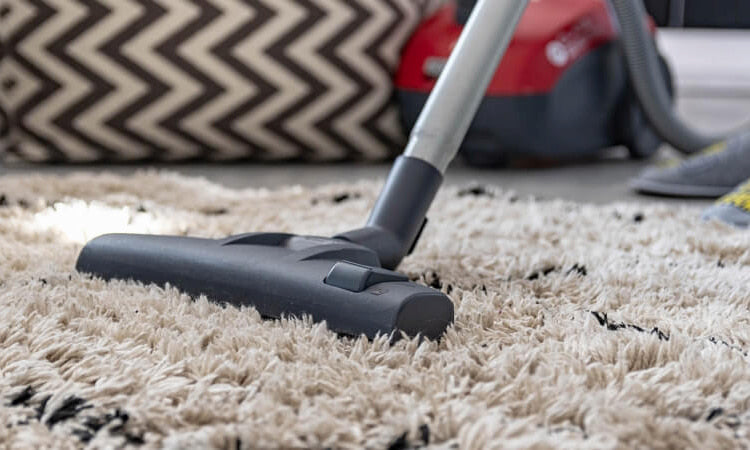 Top 5 Best Shag Carpet Vacuum Picks for 2026