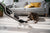 Why Are Dogs Scared of Vacuums? Causes, Solutions and Alternatives