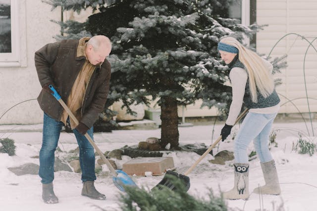 prepare-lawn-for-winter