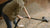 How to Clean a Rug at Home: Your Rug's Rescue Plan