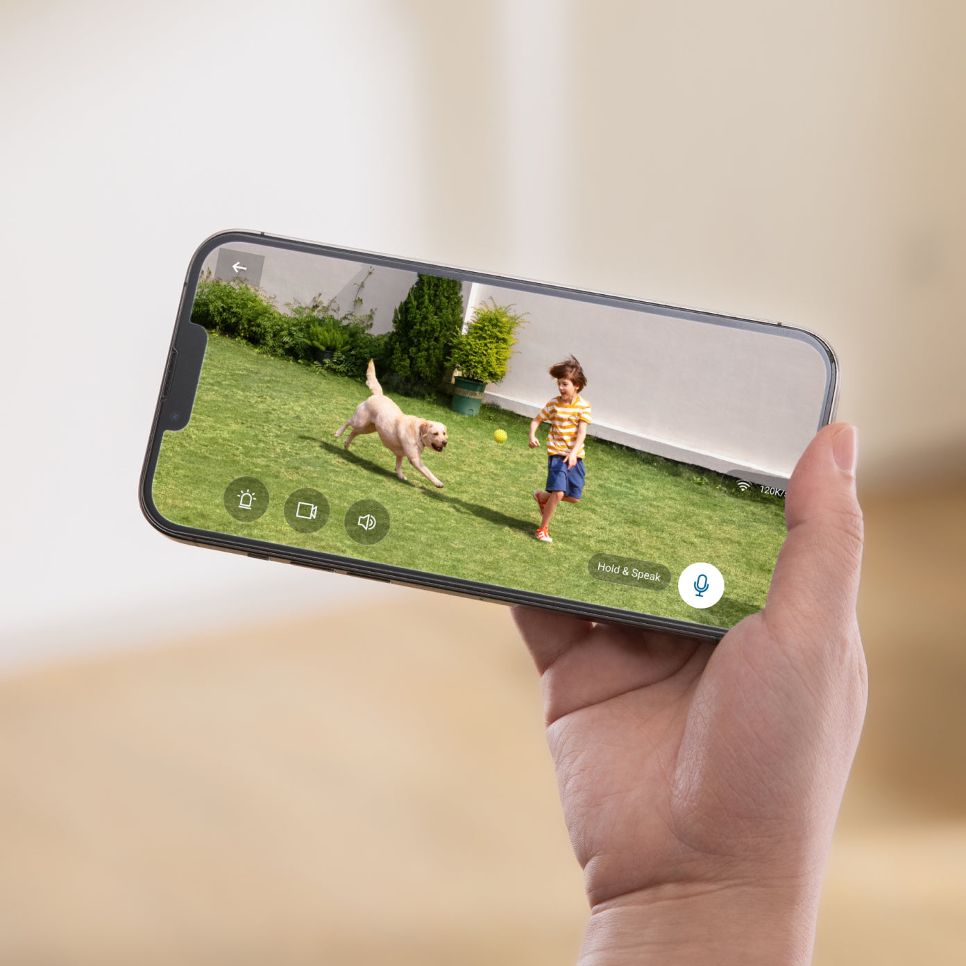 eufy Live-Videoüberwachung mit Kind und Hund im Garten