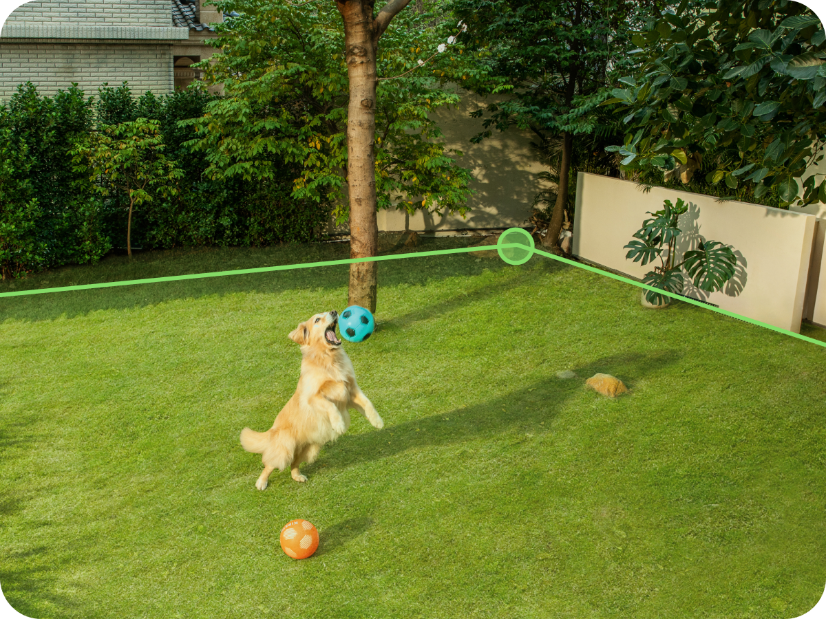 eufy Hund springt mit Ball für Sicherheit im Garten