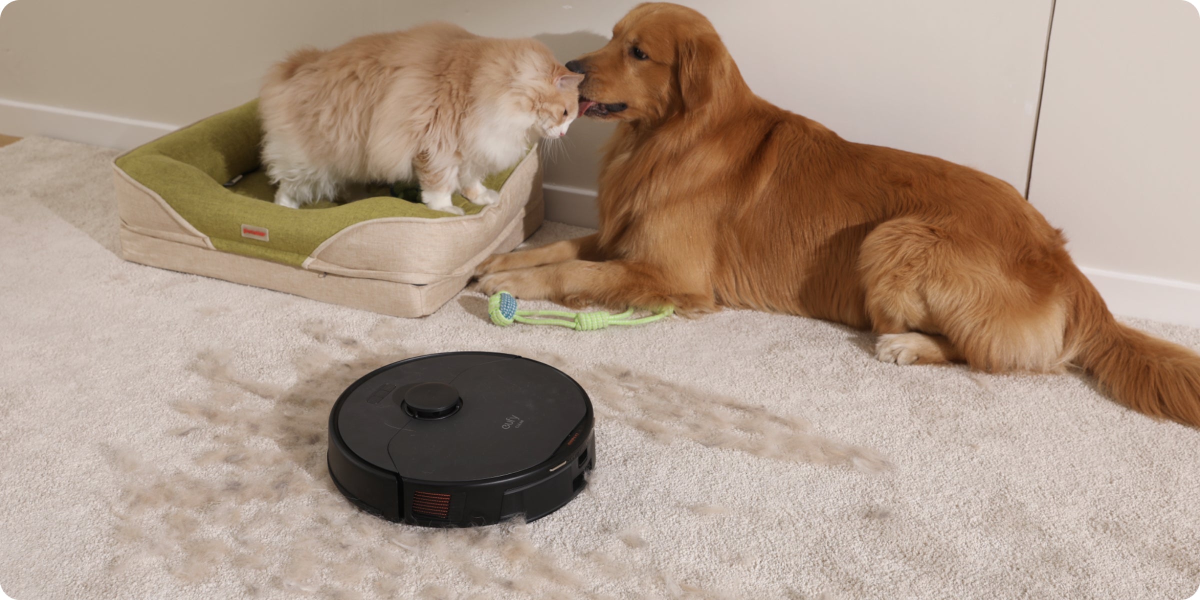 eufy mit Hund und Katze für Tierhaare auf Teppich