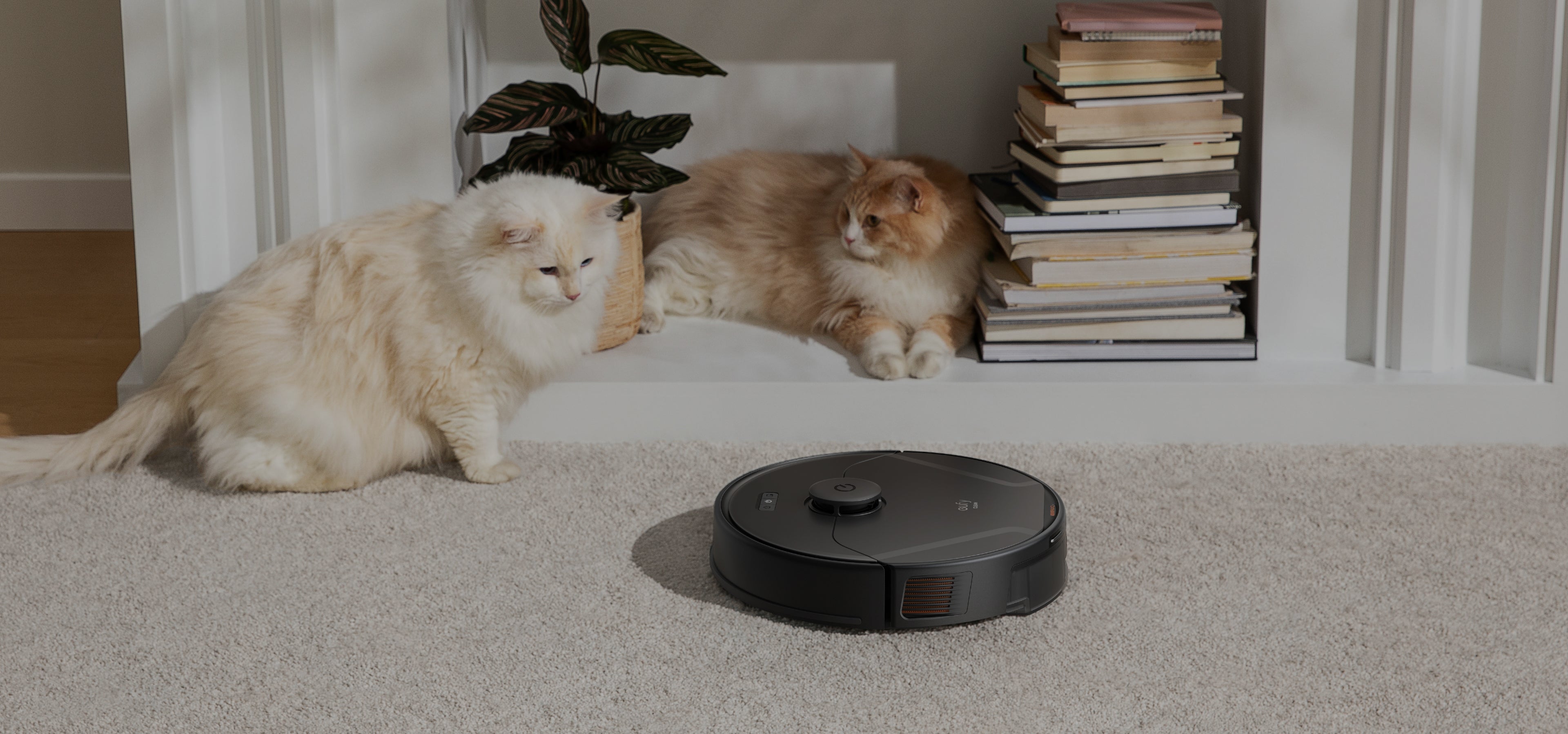 eufy Saugroboter mit zwei Katzen neben Bücherstapel für pet-friendly Reinigung