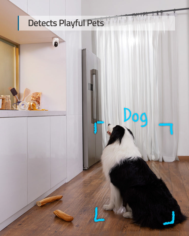 eufy Robot Vacuum Omni E28 + Indoor Cam E220