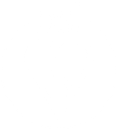 bsi