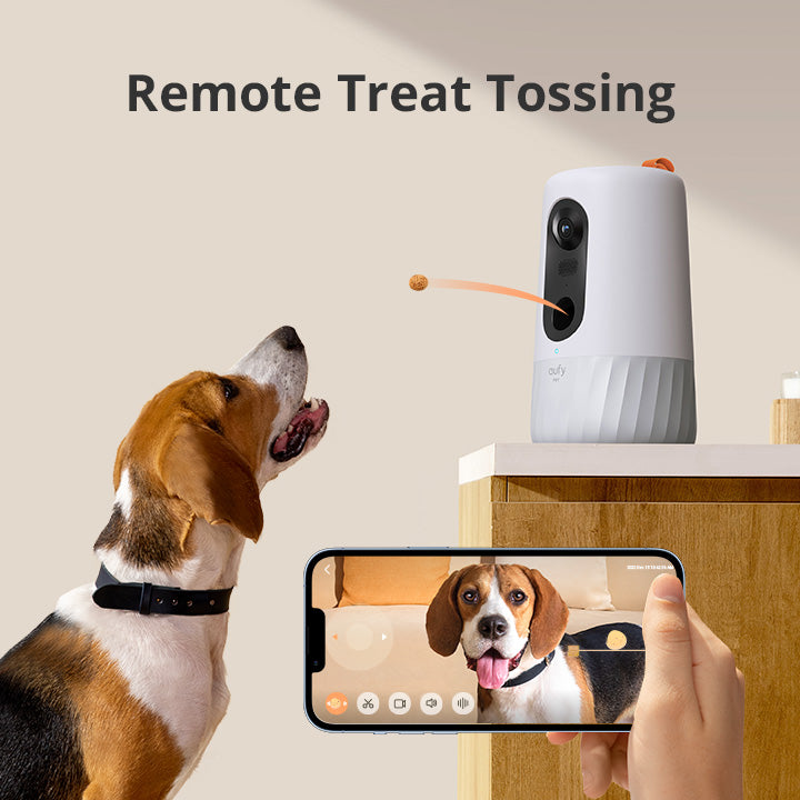 Pet camera hot sale treat feeder